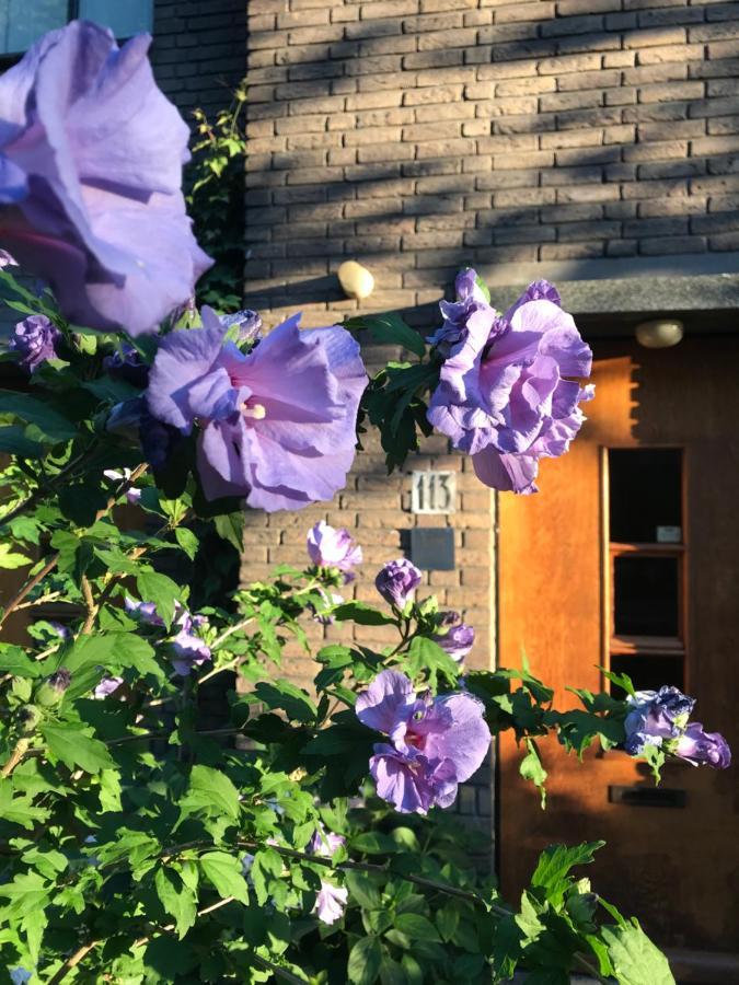 Eikenburg Bed and breakfast *