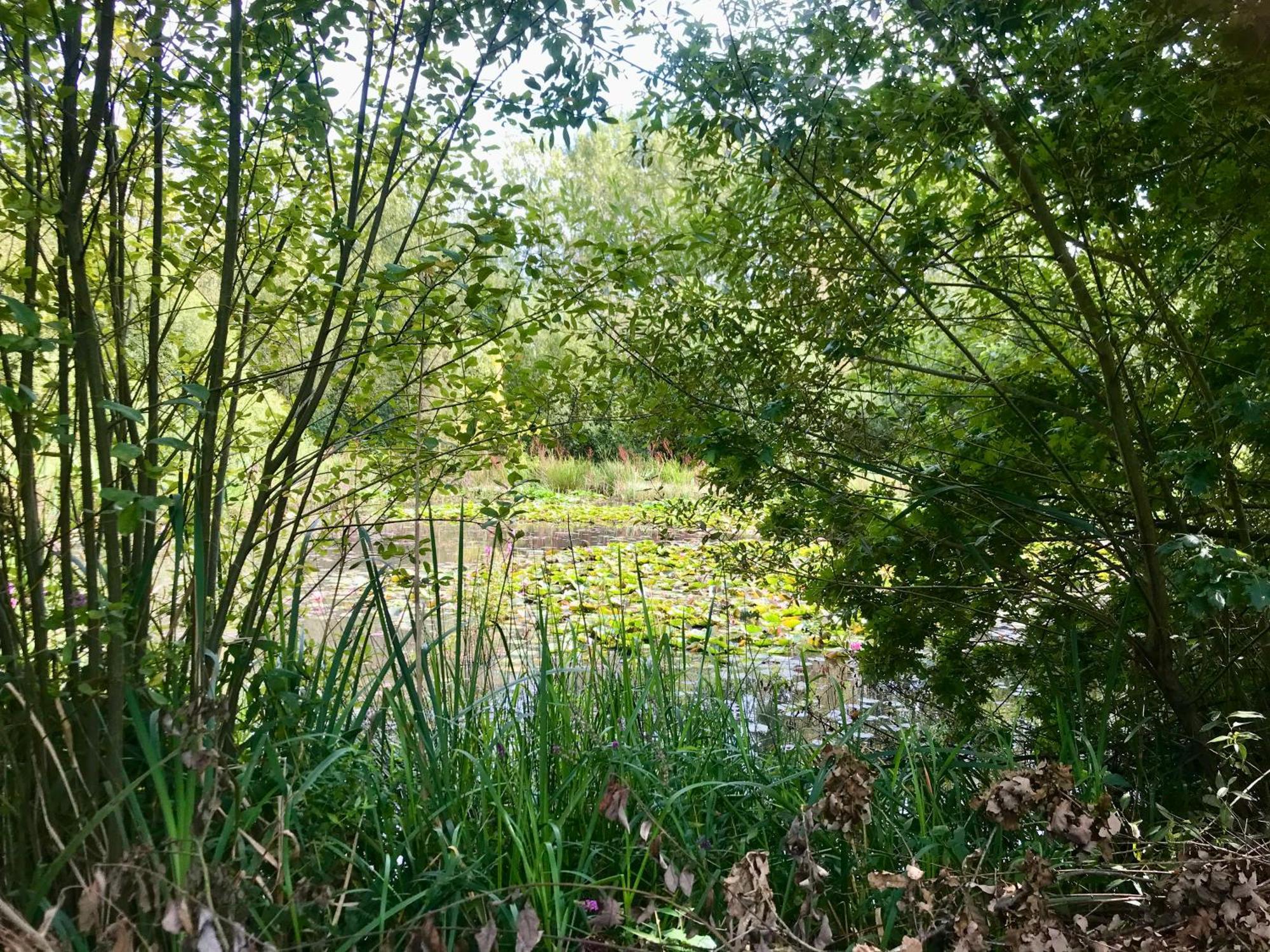 Eikenburg Alojamento de Acomodação e Pequeno-almoço Eindhoven